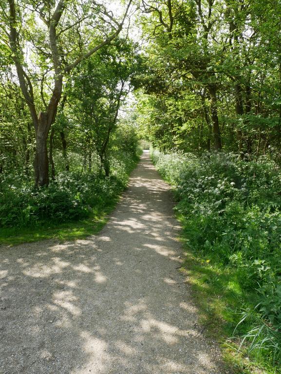 Апарт отель Huize De Duinen Берген ан Зее Экстерьер фото