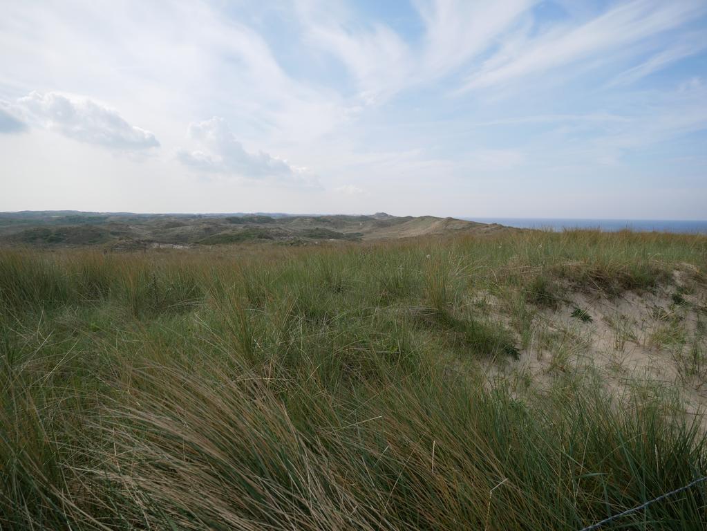 Апарт отель Huize De Duinen Берген ан Зее Экстерьер фото